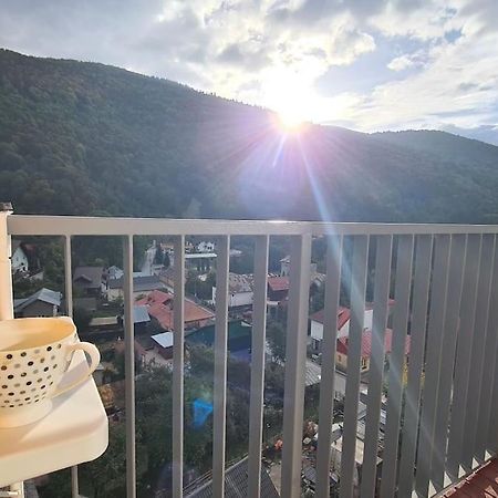 Apartament Vis De Sinaia ! Екстер'єр фото