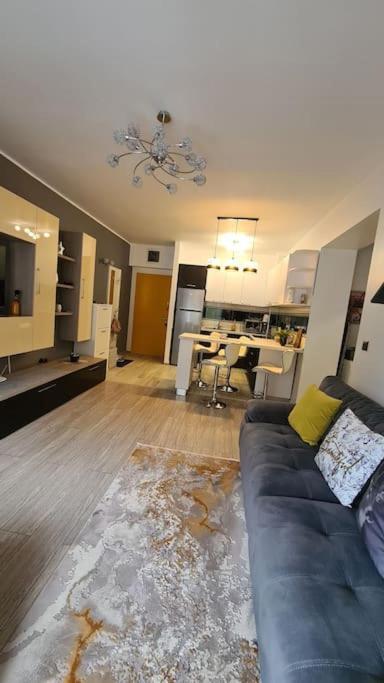 Apartament Vis De Sinaia ! Екстер'єр фото