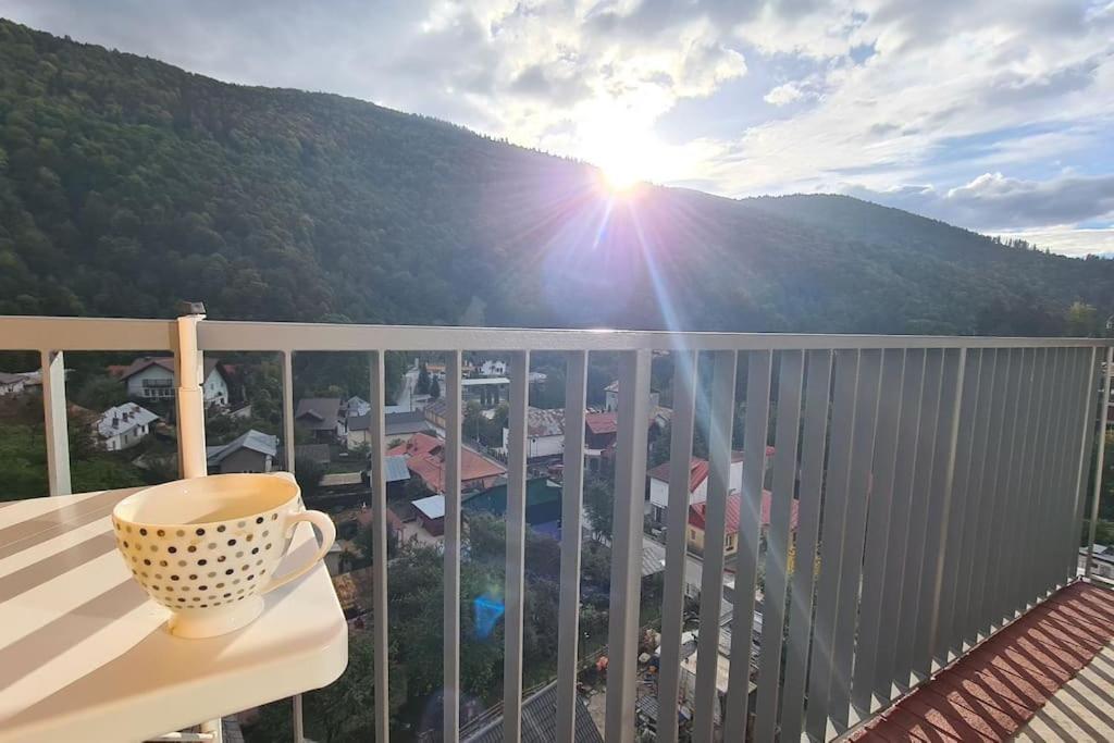 Apartament Vis De Sinaia ! Екстер'єр фото